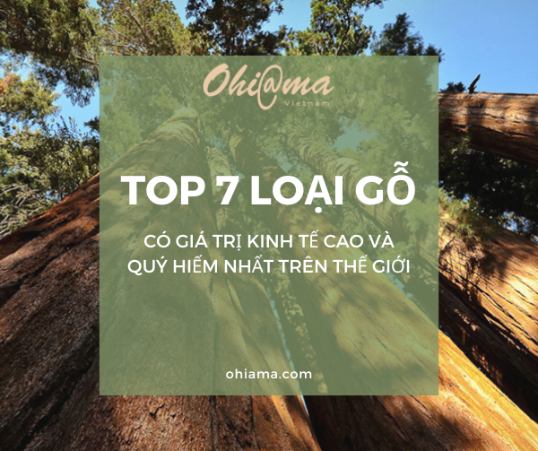 Top 7 loại gỗ có giá trị kinh tế cao và quý hiếm nhất trên thế giới