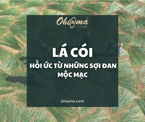 Lá cói – Hồi ức từ những sợi đan mộc mạc