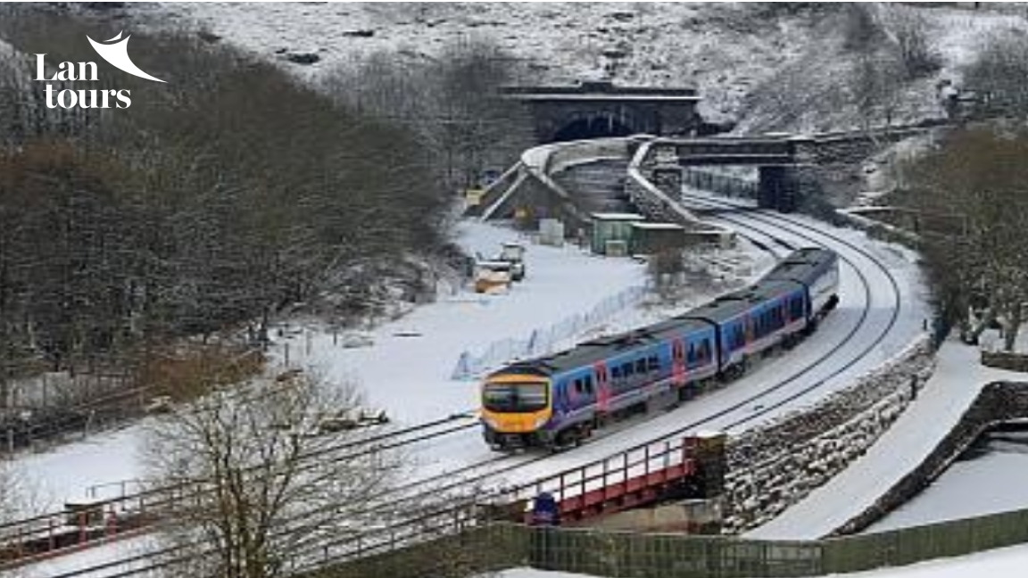 Mông cổ - Thăm làng tuần lộc