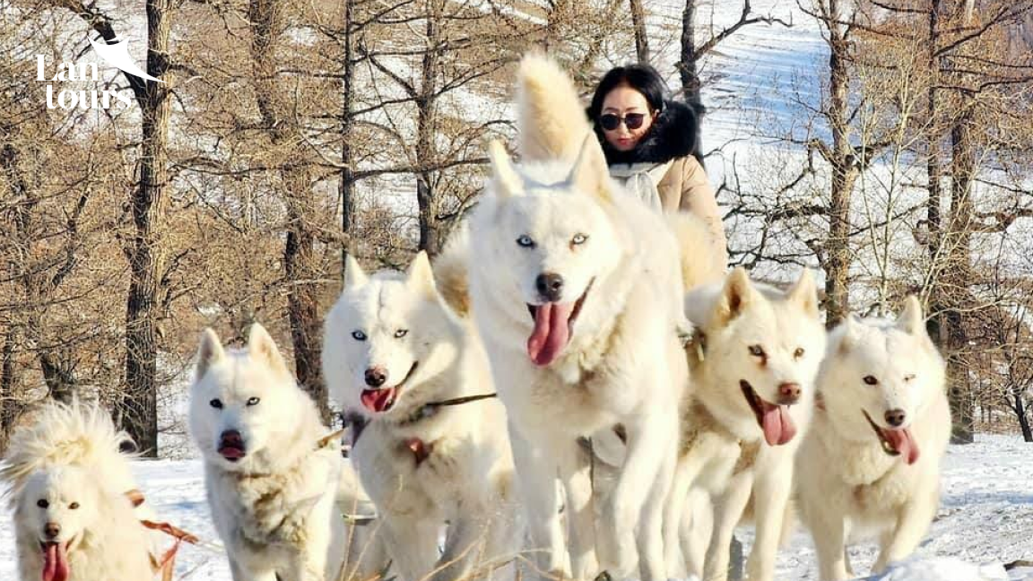 MÔNG CỔ - Về Miền Tuyết Trắng Thành Cát Tư Hãn