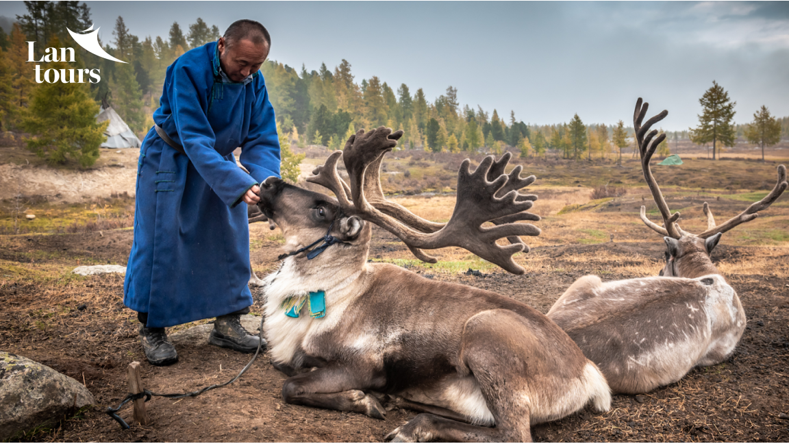 Mông cổ - Thăm làng tuần lộc