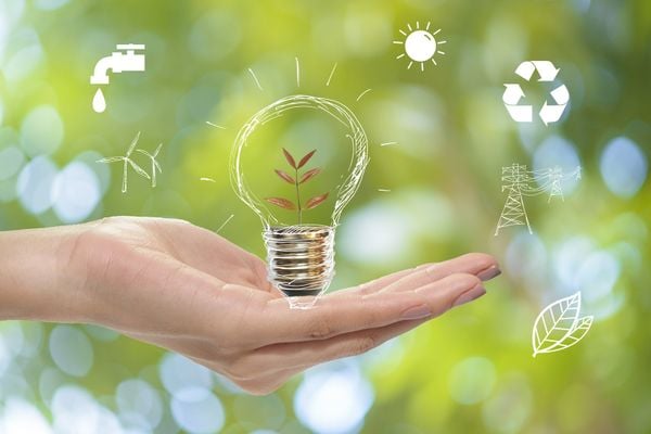 Thị trường năng lượng 2025: Giải pháp tiết kiệm cho doanh nghiệp sản xuất