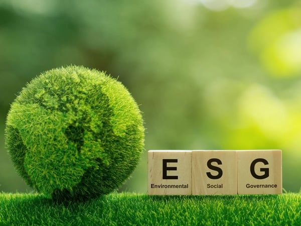 Hướng dẫn chi tiết cách doanh nghiệp sản xuất nhận ưu đãi từ chính sách ESG