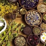 💥💥TIỀM NĂNG KINH TẾ TRỒNG THẢO DƯỢC Ở VIỆT NAM