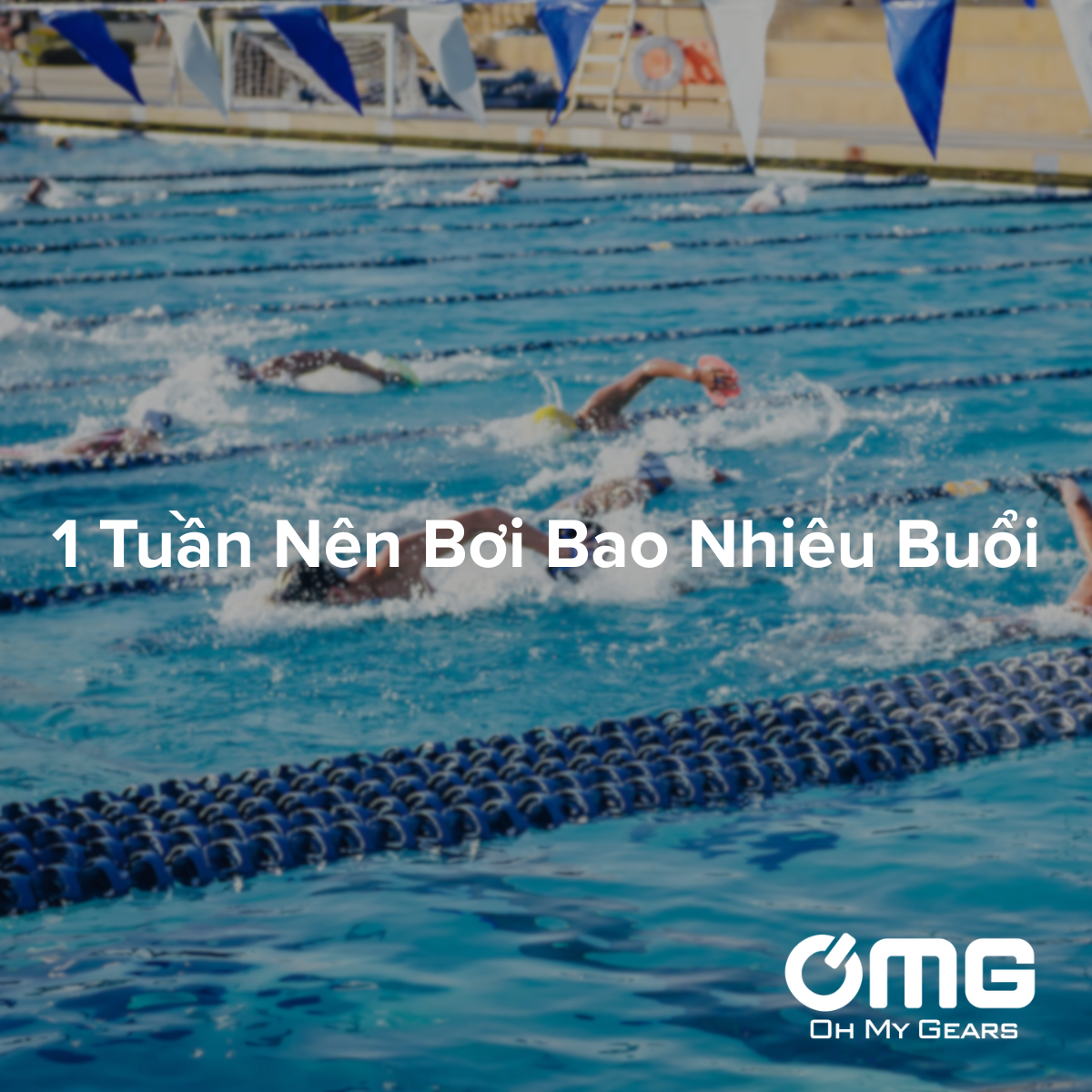 Lịch tập bơi cho người mới – Nên bơi bao nhiêu lần/tuần để có hiệu quả?