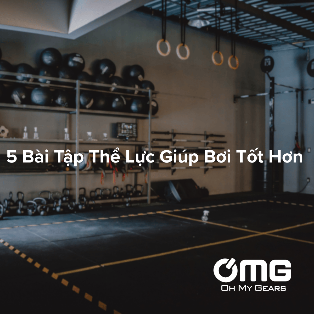 Bài Tập Thể Lực Giúp Bơi Tốt Hơn Với Dụng Cụ PTP