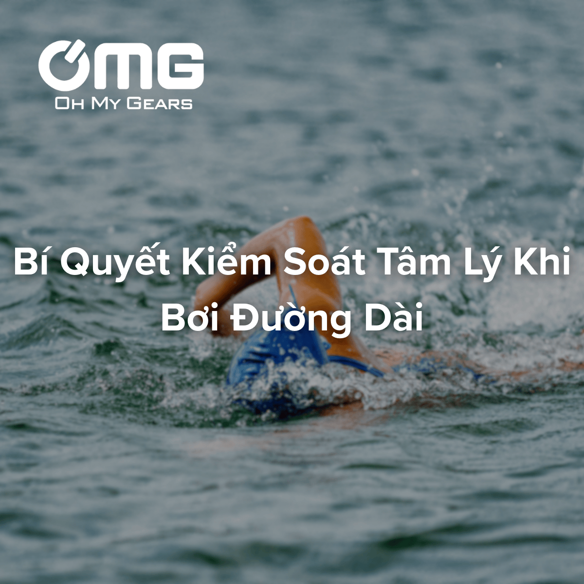 Cách giữ tinh thần thoải mái khi bơi hàng km trong hồ nước mở
