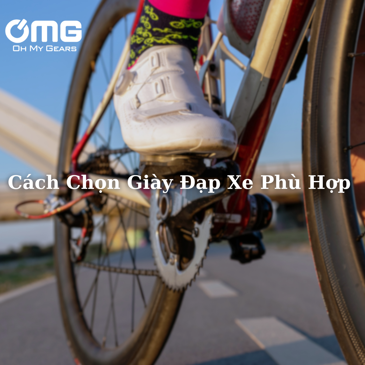 Giày đạp xe – Trang bị thiết yếu giúp tối ưu hiệu suất