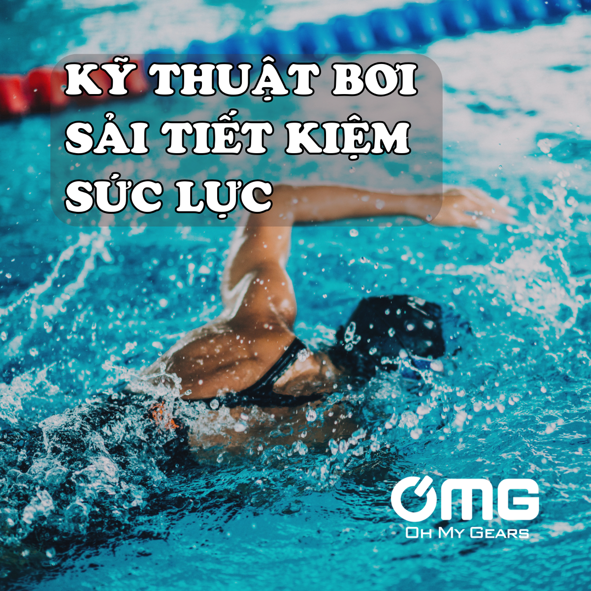 Kỹ Thuật Bơi Sải Tiết Kiệm Sức Cho Cự Ly Dài