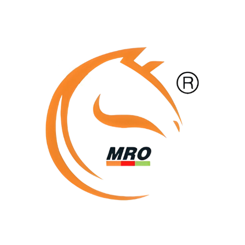 Giới thiệu công ty