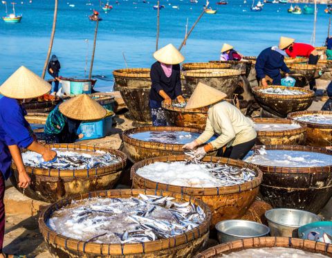 Nước mắm - Tinh hoa lên men từ biển cả, tâm huyết người Việt