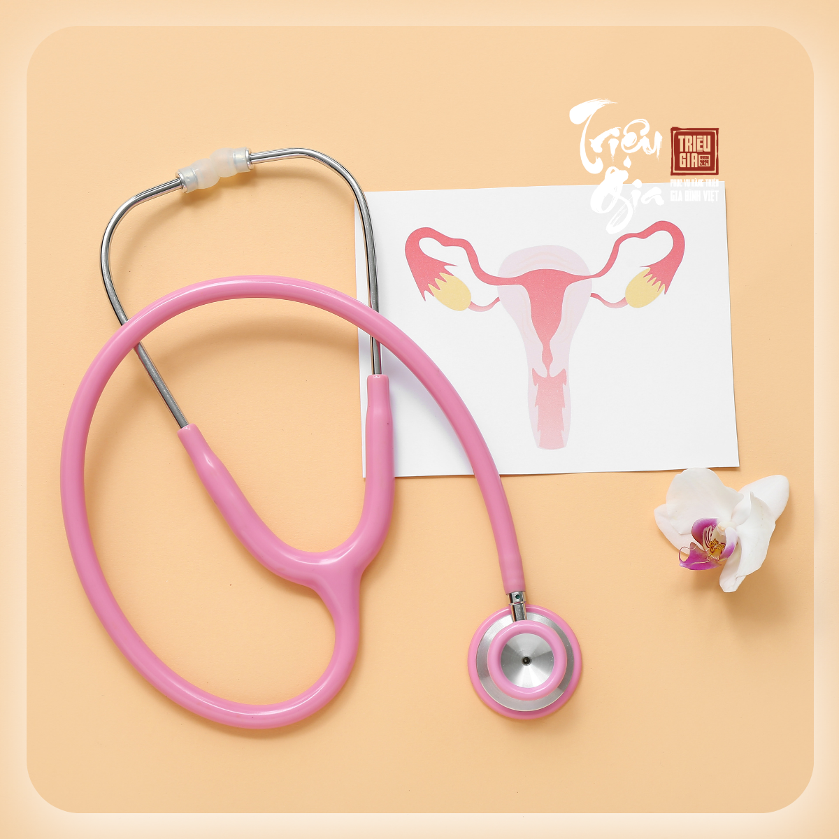 10 bệnh phụ khoa thường gặp ở phụ nữ Việt: Nhận biết và phòng ngừa