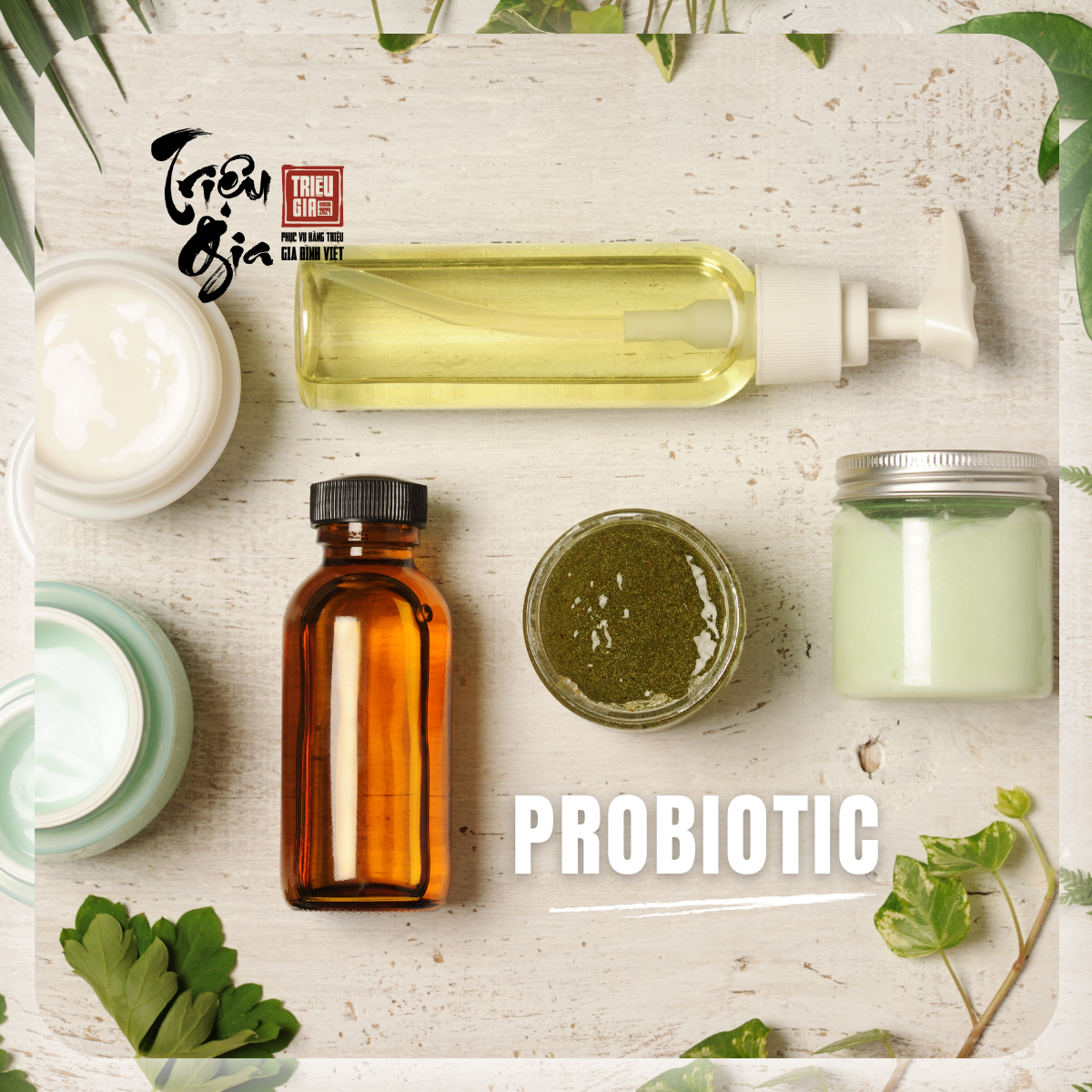 5 công dụng của Probiotic với hàng rào bảo vệ da
