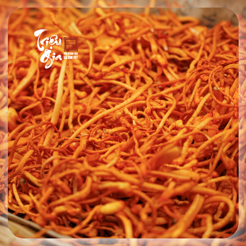 Cách tăng hạn sử dụng đông trùng hạ thảo khô cực đơn giản