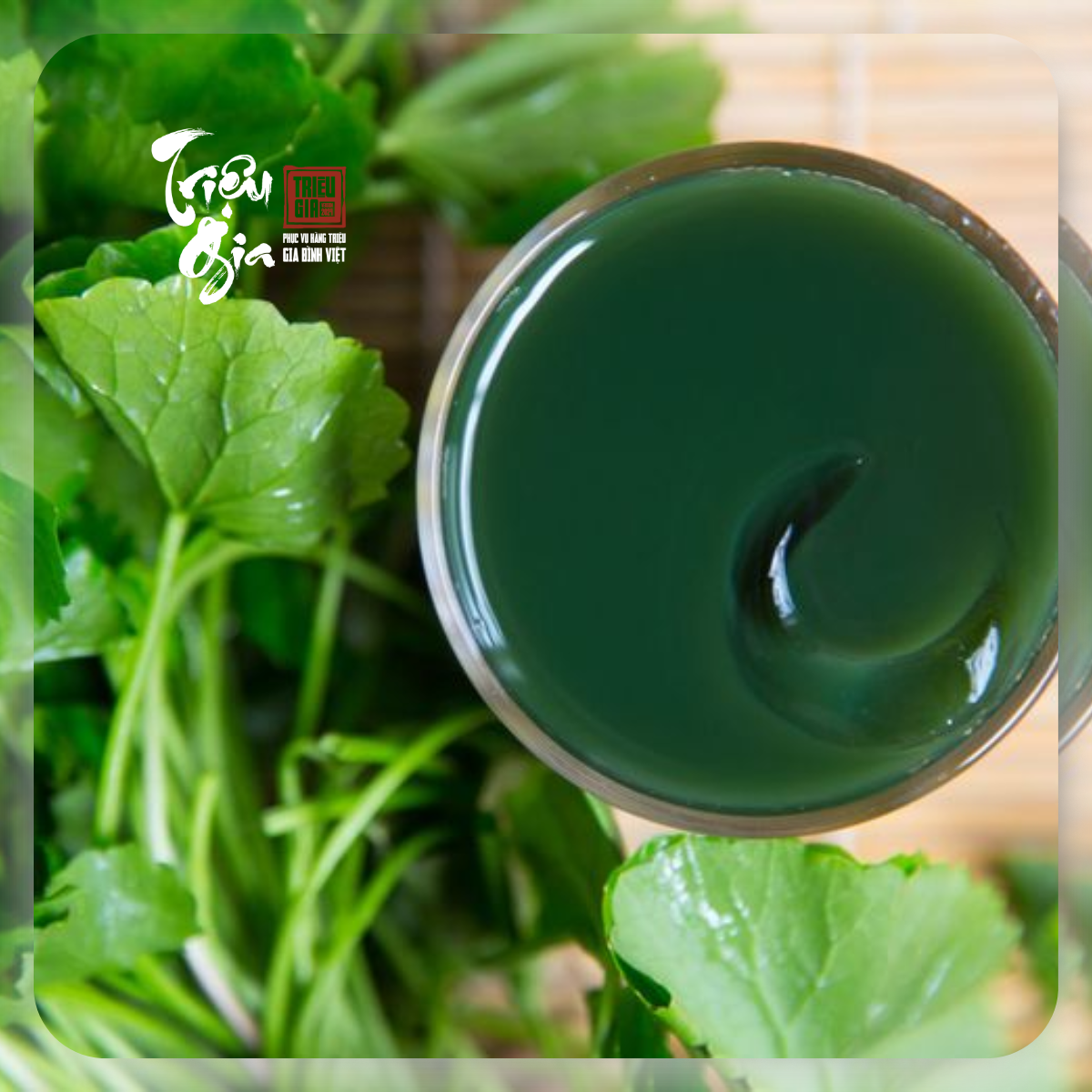 Cải thiện nóng gan nhờ 5 nguyên liệu tự nhiên giá bình dân