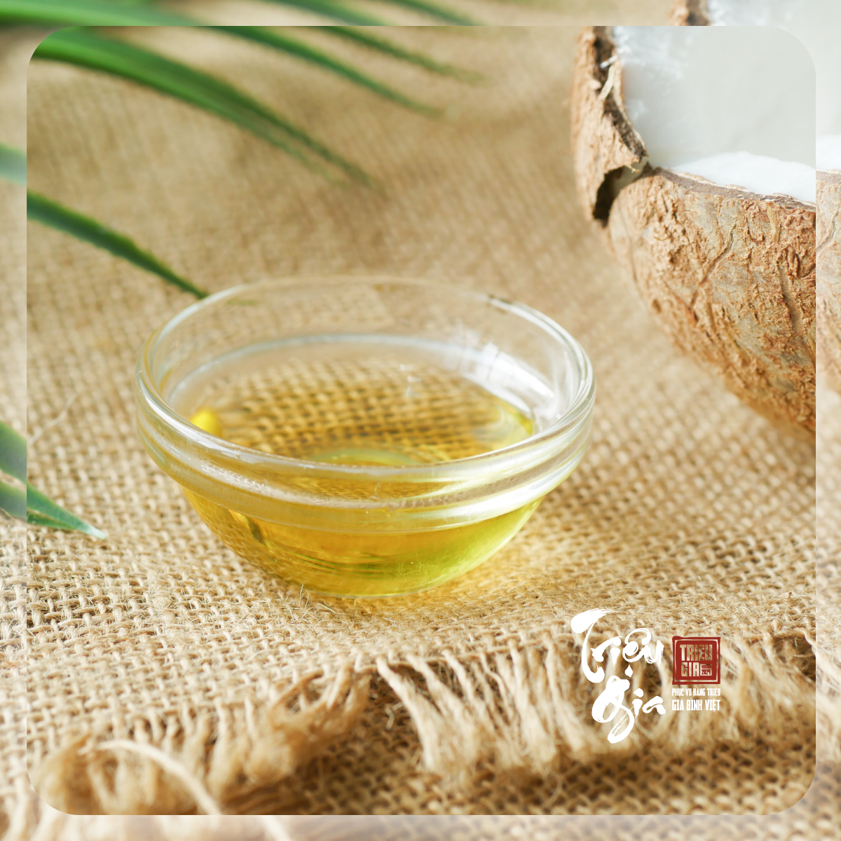 1001 công dụng của dầu dừa trong làm đẹp: Bạn đã biết chưa?