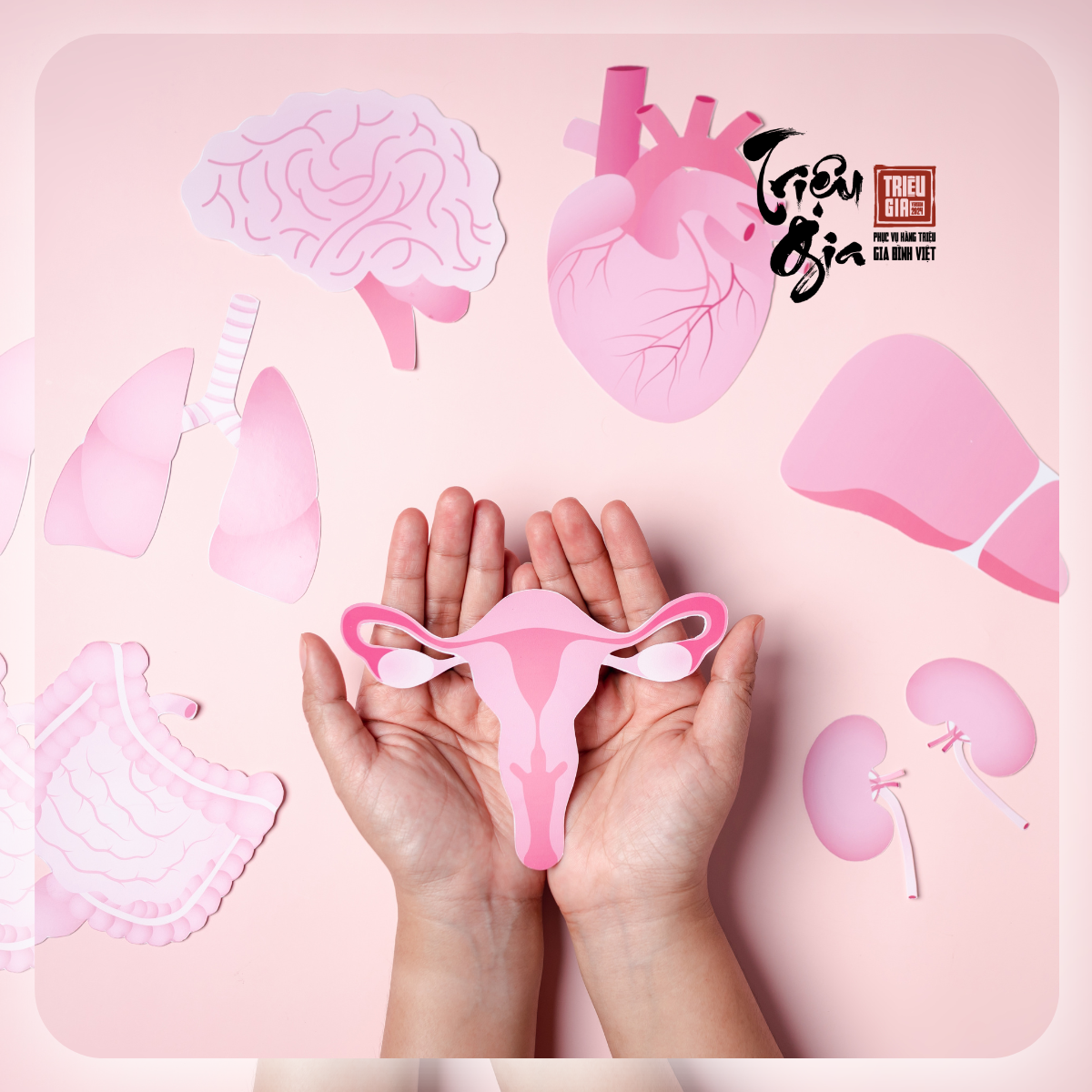 Dấu hiệu cần bổ sung nội tiết tố nữ bằng thảo mộc thiên nhiên