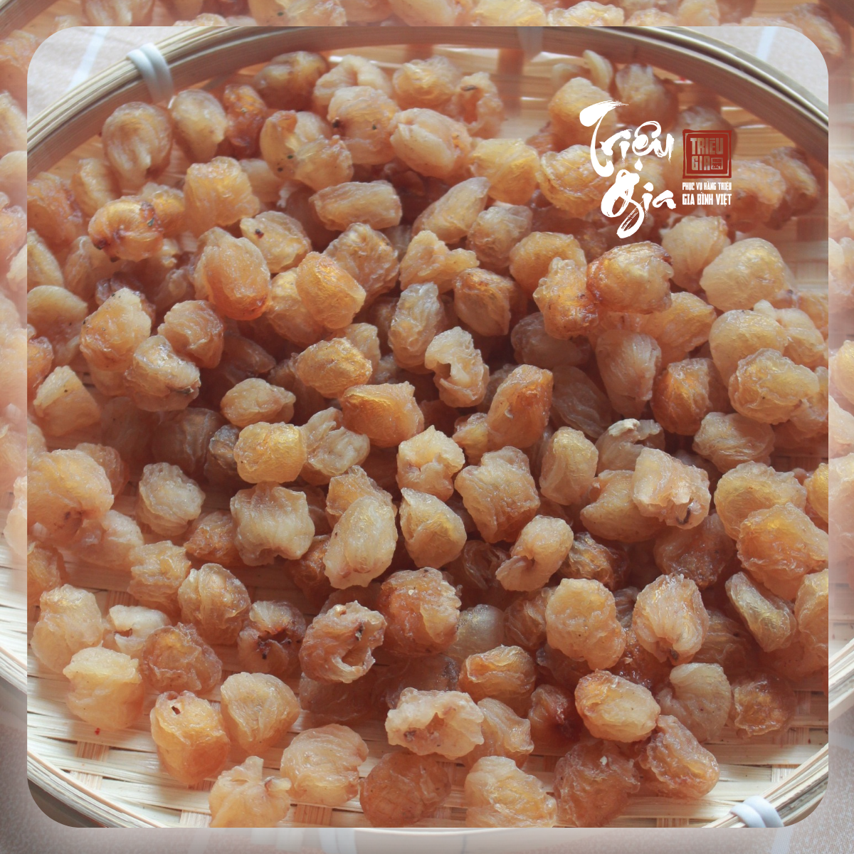 Giống nhãn Hương Chi có gì đặc biệt hơn các giống nhãn khác?