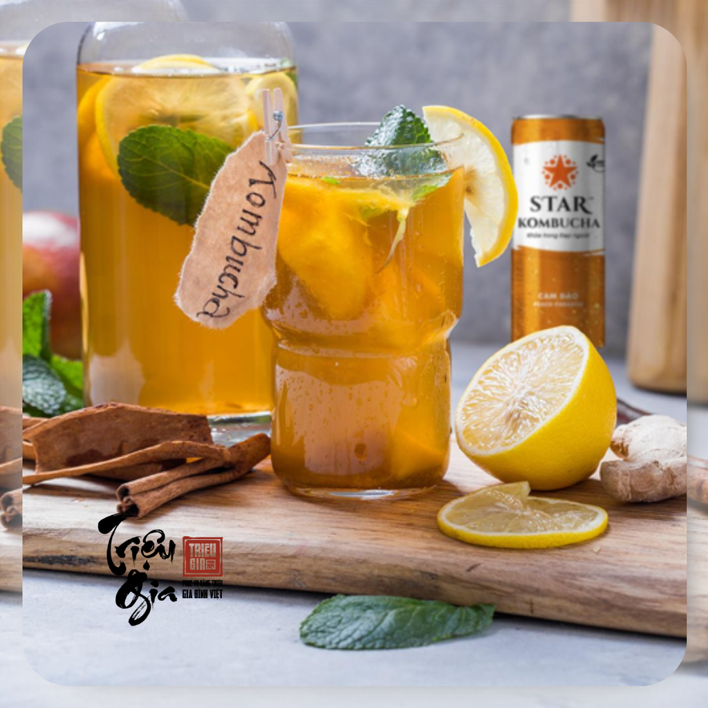 Uống kombucha mỗi ngày có tốt không? 5 thời điểm nên và không nên uống