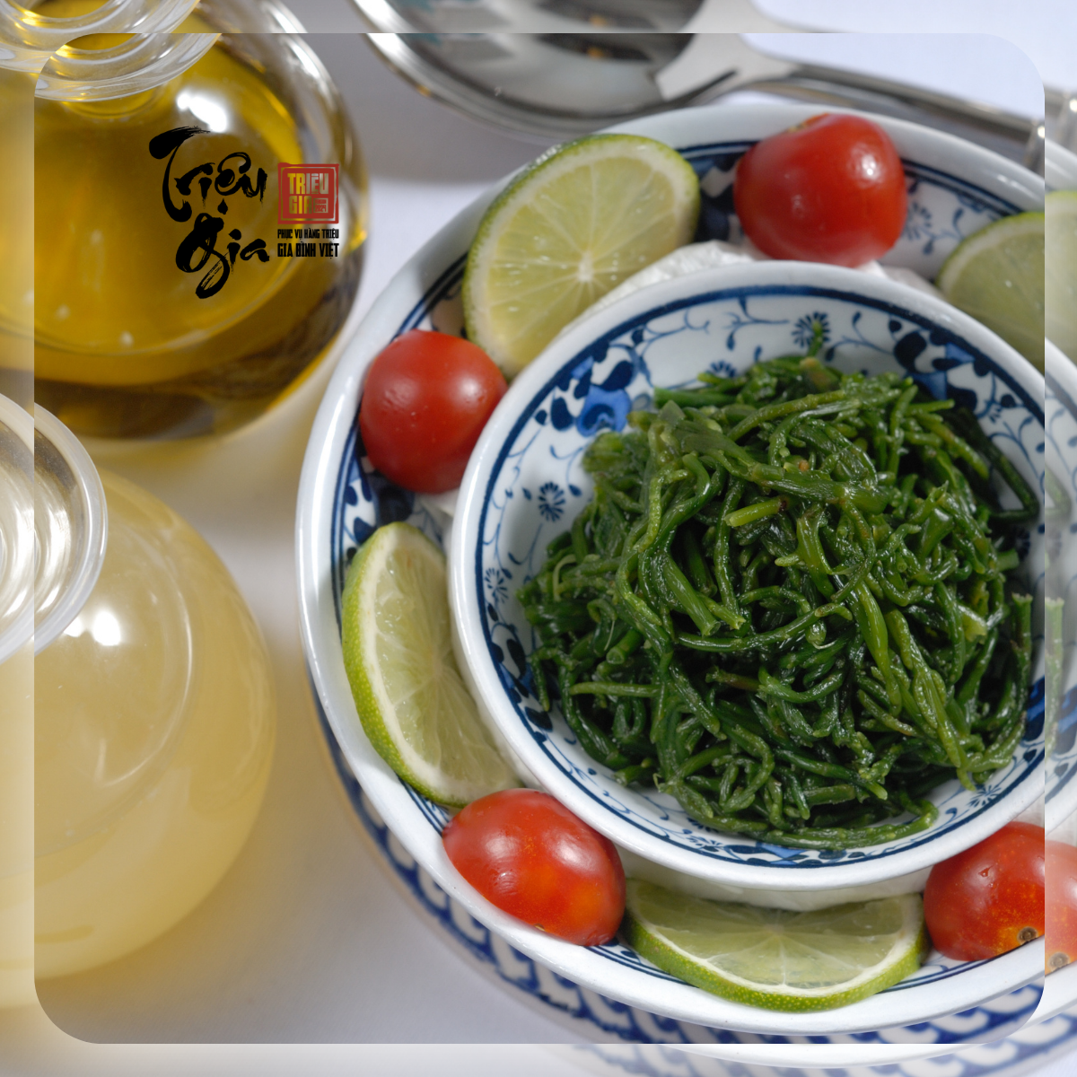 Sea moss gel là gì? Lưu ý khi bổ sung gel sụn rong biển