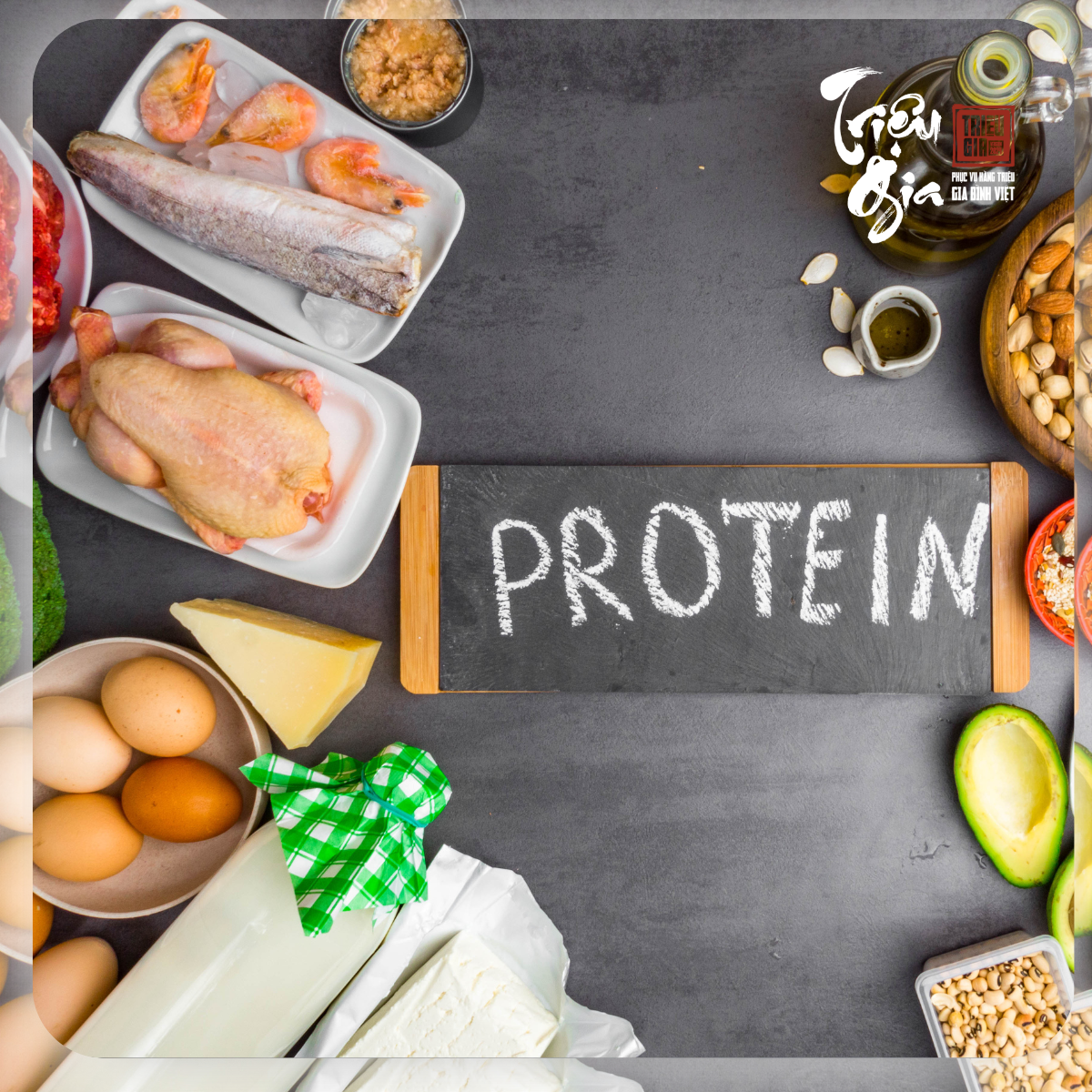 Như thế nào là thực phẩm giàu đạm? Ăn như thế nào giúp cơ thể khỏe mạnh mỗi ngày