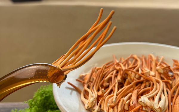 Chọn phân loại phù hợp là cách đầu tiên để tìm ra đông trùng hạ thảo loại nào tốt