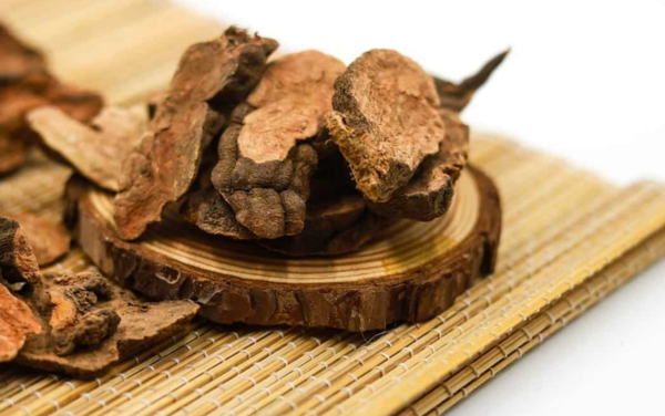 Hà thủ ô đỏ là một trong những nguyên liệu thuốc bắc bổ  hàng đầu