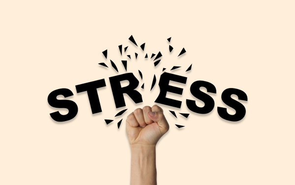 Công dụng của củ bình vôi là giảm căng thẳng, giúp ngủ ngon