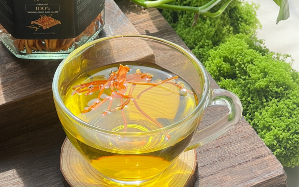 Trà đông trùng tứ vị là lựa chọn tối ưu cho sức khỏe người dùng