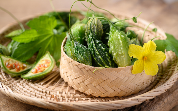 Khổ qua cũng có tính làm mát cơ thể nhanh chóng