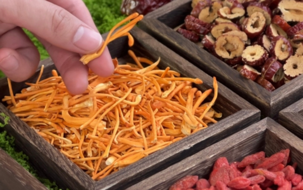 Chọn đông trùng dạng tươi hoặc sấy khô theo nhu cầu của bạn