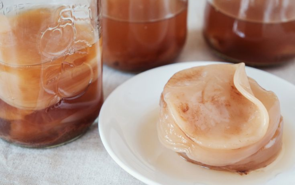 Hình ảnh con nấm Scoby làm kombucha