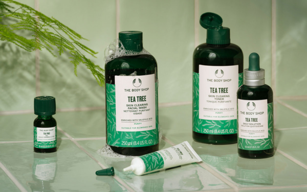 Tinh dầu tràm trà nổi tiếng với khả năng kháng khuẩn, kháng viêm nên được tin dùng trong mỹ phẩm trị mụn