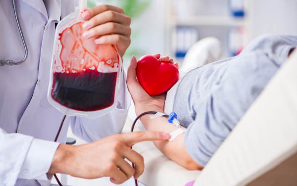 Thiếu chất, đặc biệt là sắt và protein, gây rụng tóc nhiều