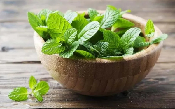 Hình ảnh minh họa trà từ thảo mộc thiên nhiên như diếp cá, atiso, cam thảo và trà xanh