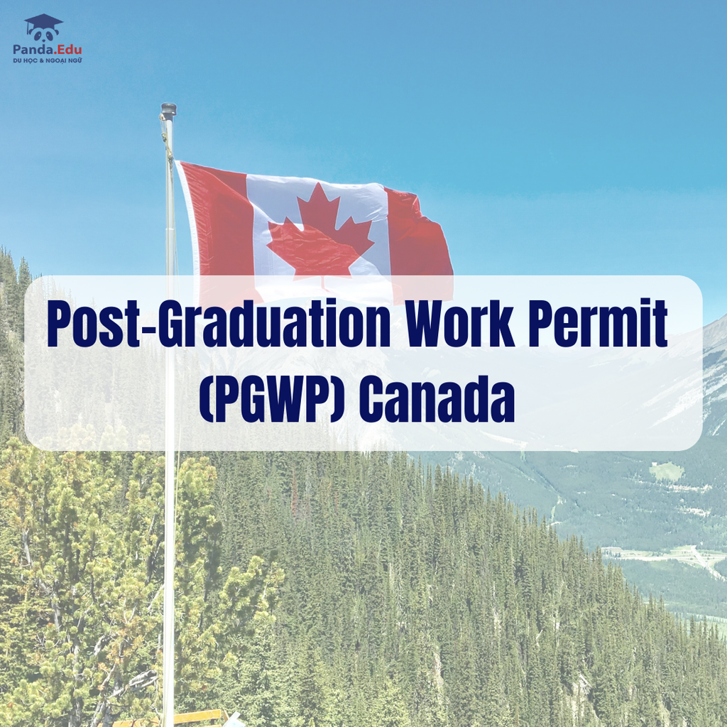 Post-Graduation Work Permit (PGWP) Canada là gì? Tại sao PGWP là cơ hội vàng cho du học sinh quốc tế