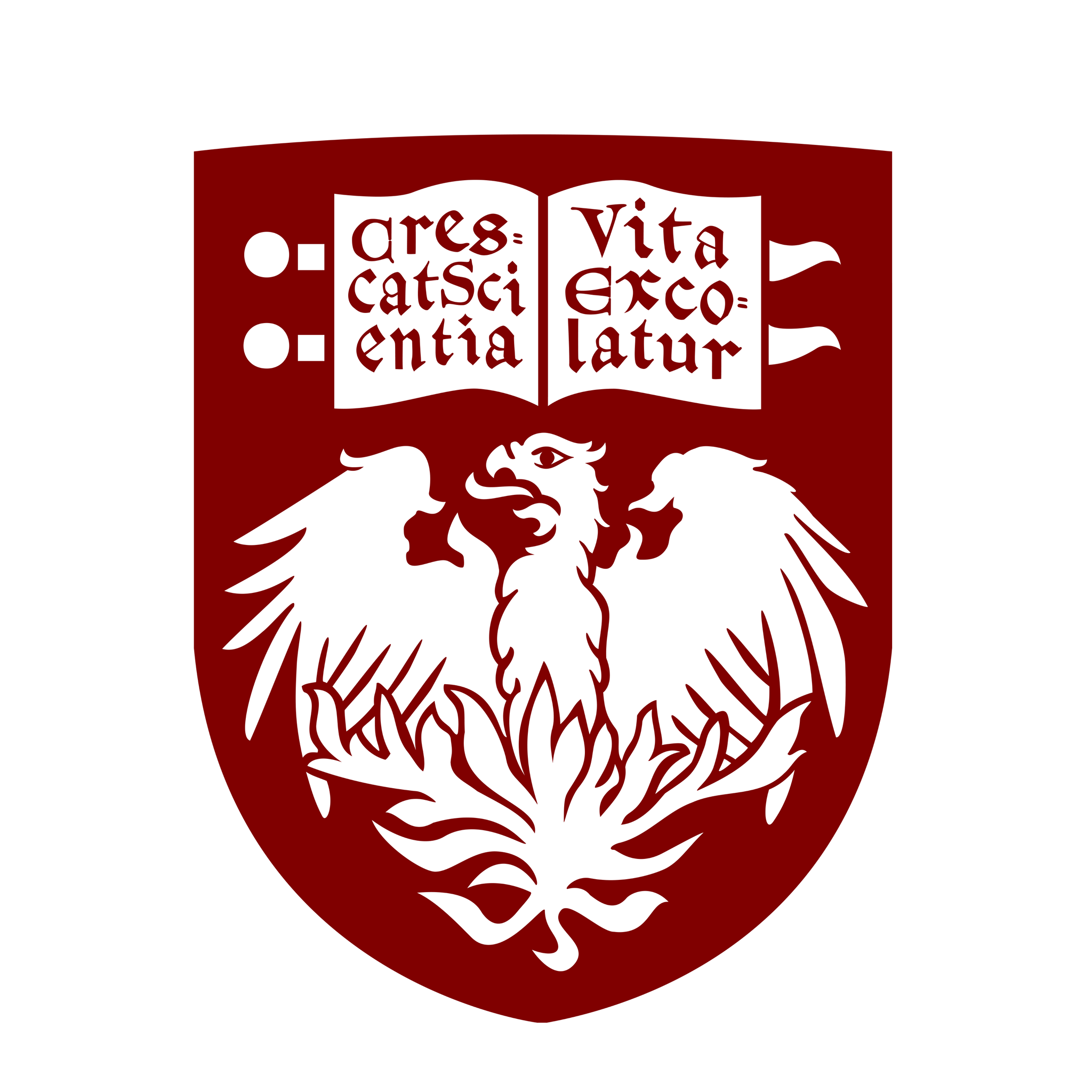 University of Chicago (UChicago) - Hyde Park, Chicago, Illinois