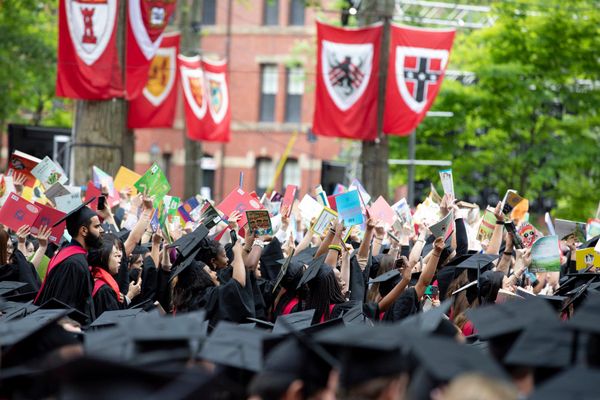 Harvard University