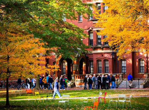 Harvard University