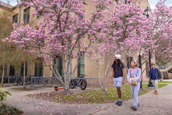 Louisiana State University (LSU)