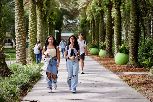 University of South Florida (USF)