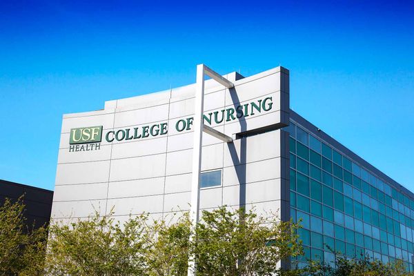 University of South Florida (USF)
