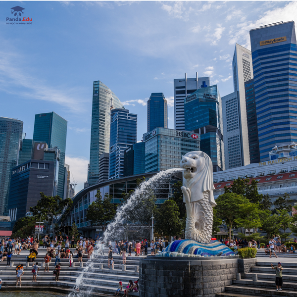 Trại hè Singapore - Tranh tài hùng biện công nghệ xanh 2025