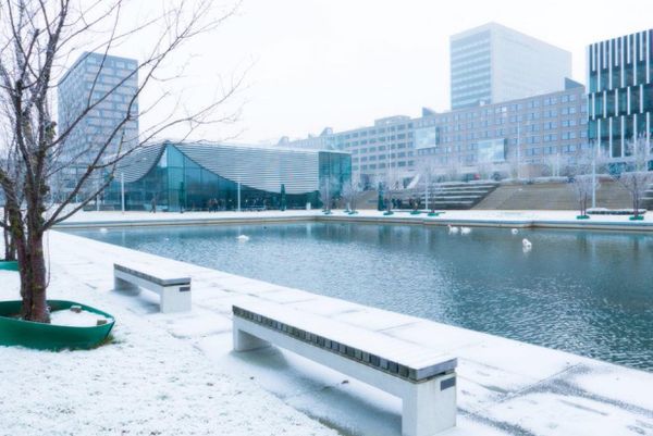 Erasmus University Rotterdam - EUR