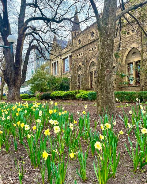 The University of Melbourne