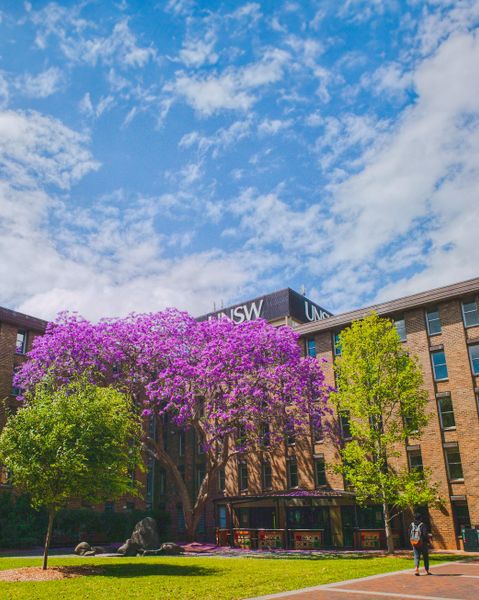 University of New South Wales (UNSW)
