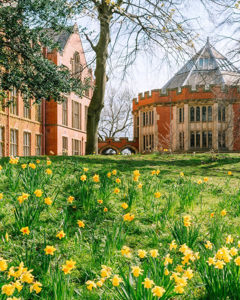 University of Sheffield
