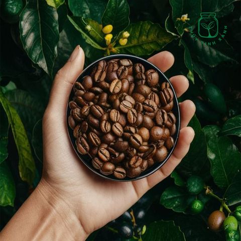 Những loại cà phê được ưa chuộng tại Việt Nam