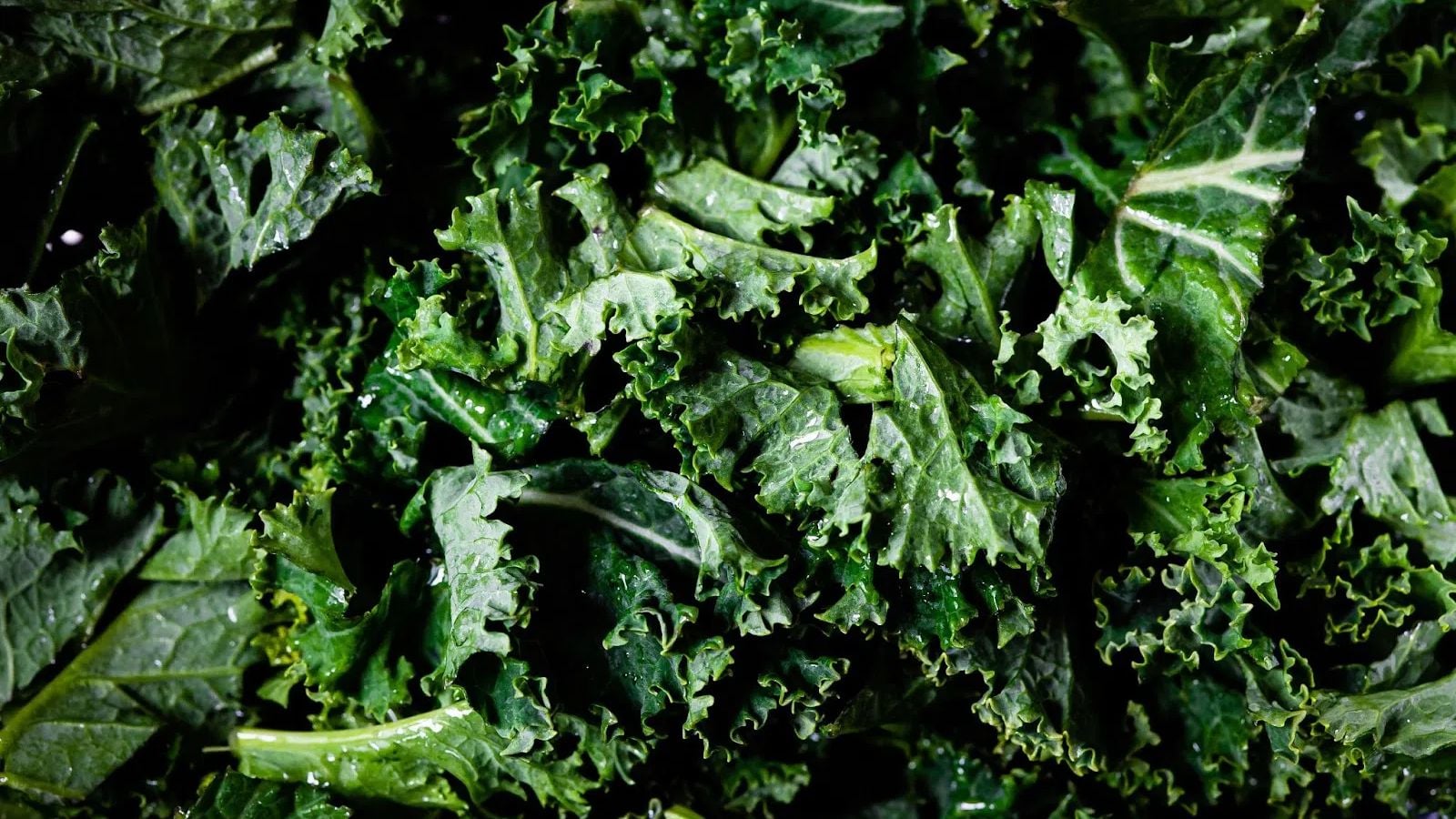 Thực phẩm giàu Vitamin A: Tăng cường sức khỏe từ tự nhiên