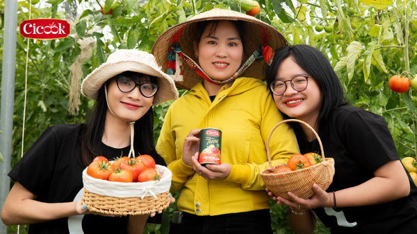 Gia vị tươi Cicook dễ bảo quản như thế nào?